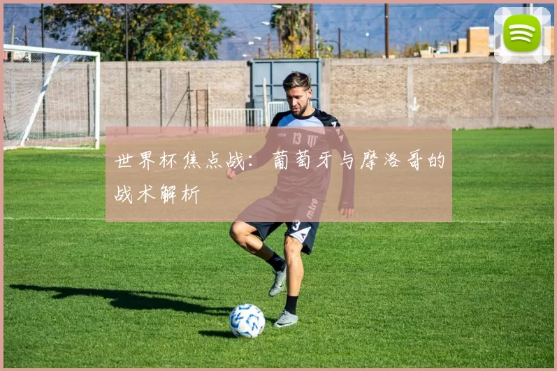 世界杯焦点战:葡萄牙与摩洛哥的战术解析