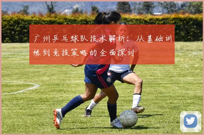 广州乒乓球队技术解析：从基础训练到竞技策略的全面探讨