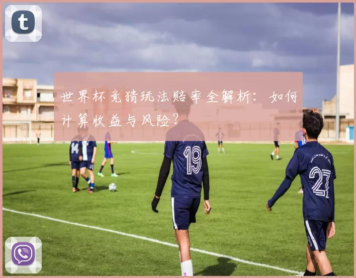 世界杯竞猜玩法赔率全解析：如何计算收益与风险？