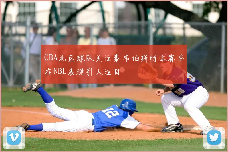 CBA北区球队关注泰韦伯斯特本赛季在NBL表现引人注目