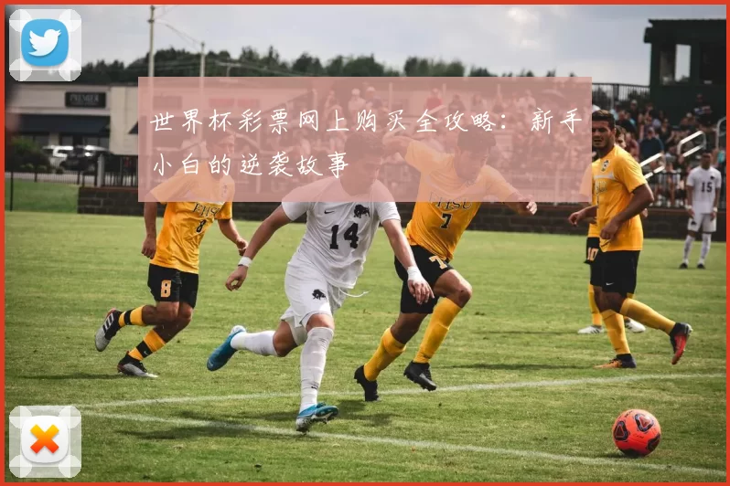 世界杯彩票网上购买全攻略：新手小白的逆袭故事