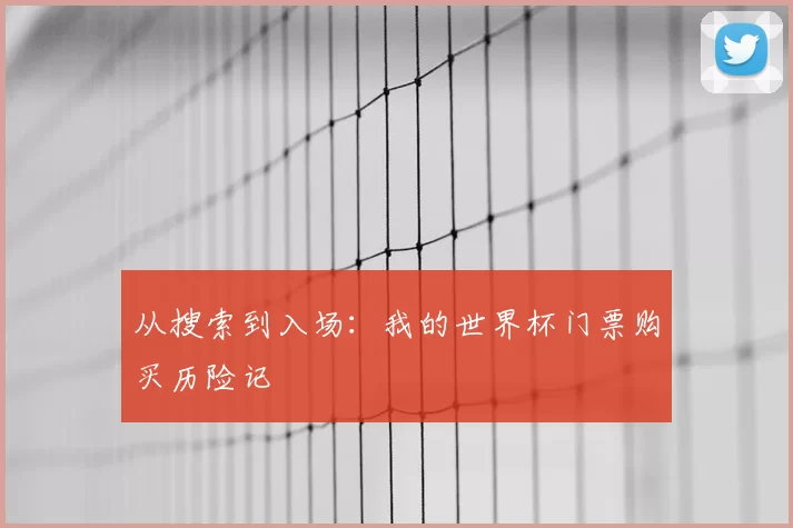 从搜索到入场：我的世界杯门票购买历险记