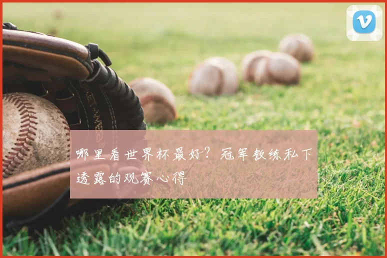哪里看世界杯最好？冠军教练私下透露的观赛心得