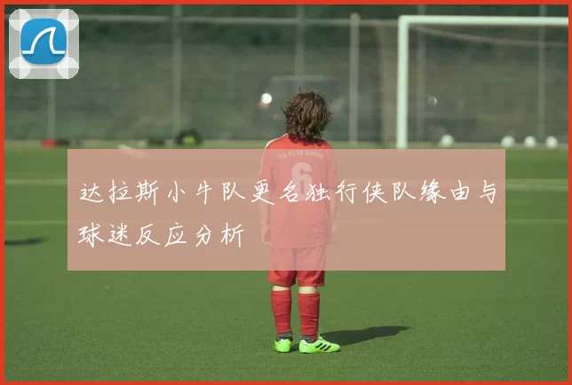 达拉斯小牛队更名独行侠队缘由与球迷反应分析