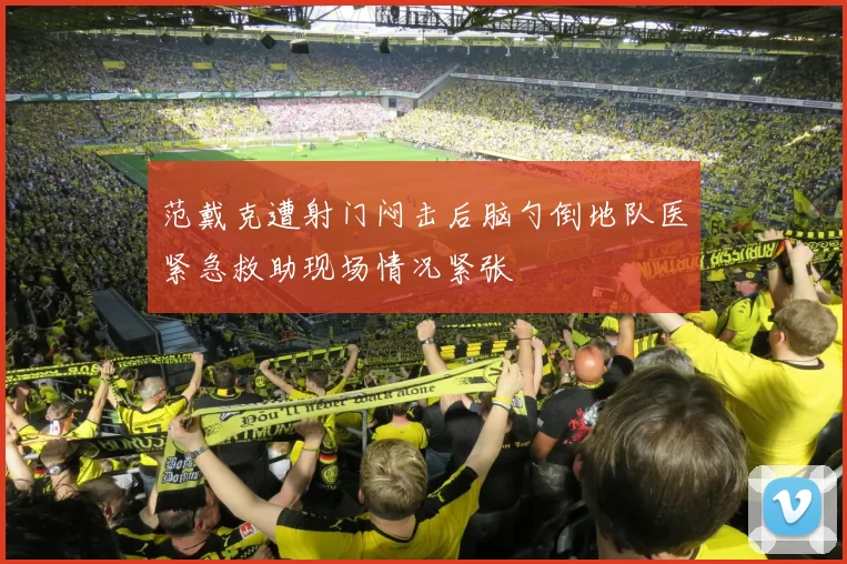 范戴克遭射门闷击后脑勺倒地队医紧急救助现场情况紧张
