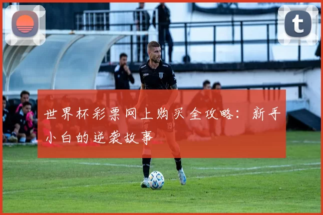 世界杯彩票网上购买全攻略：新手小白的逆袭故事