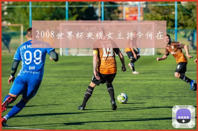 2008世界杯央视女主持今何在