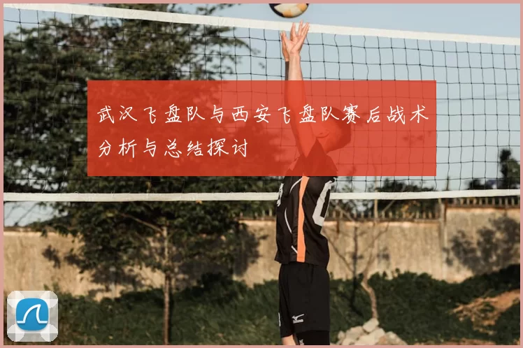 武汉飞盘队与西安飞盘队赛后战术分析与总结探讨