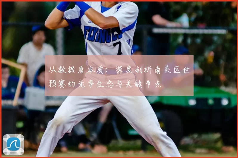 从数据看本质:深度剖析南美区世预赛的竞争生态与关键节点