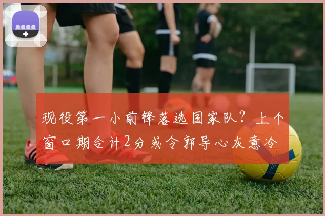 现役第一小前锋落选国家队?上个窗口期合计2分或令郭导心灰意冷