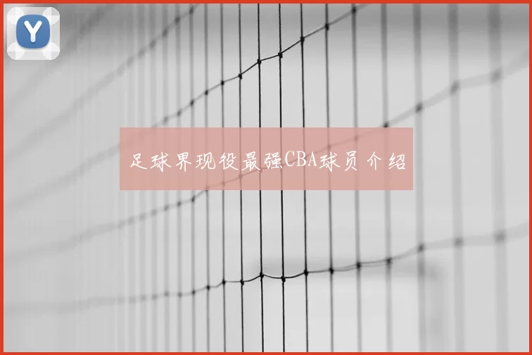 足球界现役最强CBA球员介绍