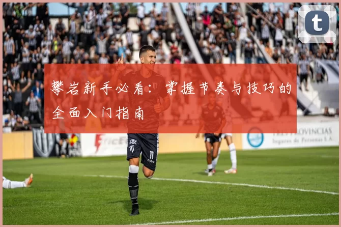 攀岩新手必看：掌握节奏与技巧的全面入门指南