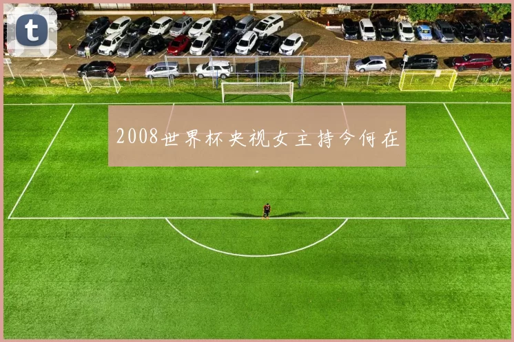 2008世界杯央视女主持今何在